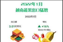 互动图表：2022年1月越南蔬果出口猛增