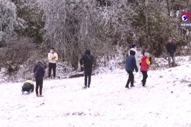 越南老街省雪景醉人 让游客流连忘返