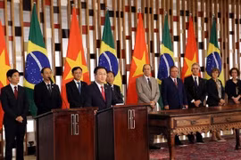 越巴建交30周年回顾（组图）