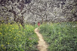 组图：来木州县探索仙境般的旅游景点