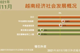 互动图表：2021年前11月越南经济社会发展概况