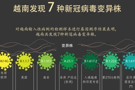 图表新闻：越南发现七种新冠病毒变异株