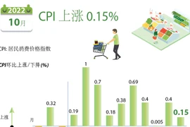 图表新闻：2022年前10个月越南CPI同比上涨2.89%