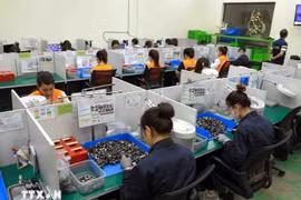 位于南定省美禄县美中工业区，专门生产汽车零部件的Pim Vina公司。图自越通社