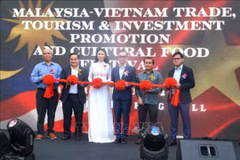马来西亚-越南贸易旅游促进会暨美食节开幕仪式。图自越通社
