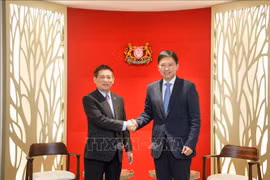 越南财政部长胡德福与新加坡财政部第二部长徐芳达。图自越通社