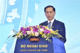 越南外交部长裴青山在开幕式上致辞。图自越通社