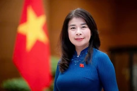 越南国会对外委员会副主任黎秋霞。图自越南国会门户网站