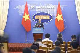 越南外交部副发言人段克越。图自越通社
