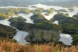 塔董自然保护区的大小岛屿造成西原地区山林中的奇妙景观。（图片来源：越通社）