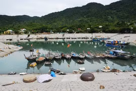 劬劳占岛的平静、简朴的生活