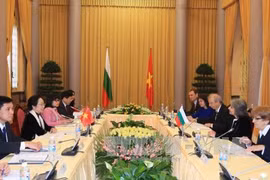 越南国家副主席阮氏缘同保加利亚副总统马尔加里塔•波波娃举行会谈。（图片来源：越通社）