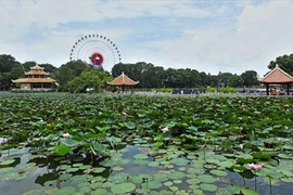 水榭湖。（图片来源：越通社《越南画报》）