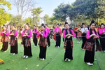泰族舞蹈表演。图自越通社