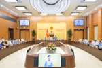会议讨论越南国籍法草案的两项主要政策。图自dantri.com.vn