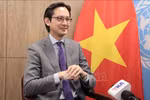 越南常驻联合国代表团团长邓雄越大使在接受越通社记者采访。图自越通社