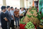 北江荔枝推介活动。图自越通社