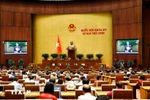 越南第十五届国会第九次会议：取消八个死刑罪名