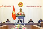 国会主席陈青敏在国会常务委员会会议上发表讲话。图自越通社