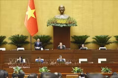 国会副主席阮鸿延发表讲话 图自越通社