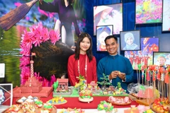 越南在日本精彩呈现民族传统文化魅力
