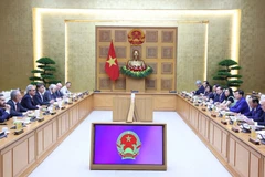 陈红河与欧委会IUU检查团举行工作会谈 图自越通社 