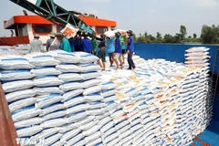 附图 图自越通社