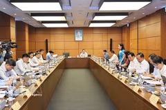 越南胡志明市国会代表团举行分组讨论。tu z越通社