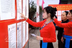 首次参加投票的芒族选民正在认真研究代表候选人的履历信息。图自越通社