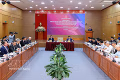 越共中央政治局委员、中央书记处书记、中央政策战略部部长阮青毅在会上发表讲话 图自越通社