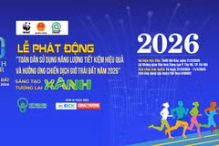 附图 图自Vietnam+