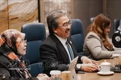 马来西亚投资、贸易与工业部长佐哈里·阿卜杜勒·加尼 越通社发