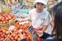 附图 图自越通社