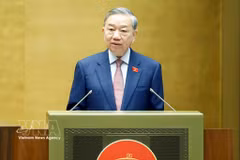 越共中央总书记苏林发表讲话 图自越通社