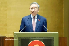 越共中央总书记苏林发表讲话 图自越通社