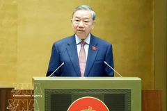 越共中央总书记苏林在越南第十六届国会第一次会议上发表讲话（全文 ）