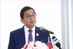 柬埔寨王家研究院下属柬埔寨国际关系研究院院长金·佩亚 图自越通社