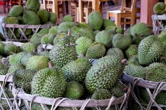 在同奈省统一乡的一个榴莲集散点，榴莲正在被集中堆放。图自越通社