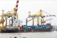 越南海防MPC港进出口货物装卸作业现场 图自越通社