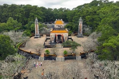 中部遗产在可持续发展之路上焕发新生光彩