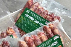 附图 图自越通社