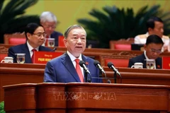 越共中央总书记、大会文件小组组长苏林作了越共中央第十三届中央委员会关于提交越共第十四次全国代表大会文件的报告 图自越通社