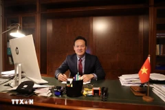 越南常驻日内瓦代表团团长梅潘勇大使 图自越通社