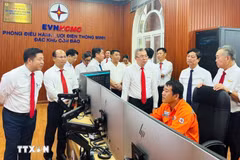 与会代表参观智能电网建设工程 图自越通社