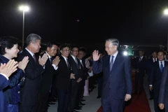 苏林总书记圆满结束对柬埔寨王国的国事访问启程回国 图自越通社