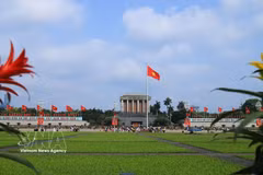 国际游客对了解昔日会安人民的历史、文化与信仰表现出浓厚兴趣。图自越通社