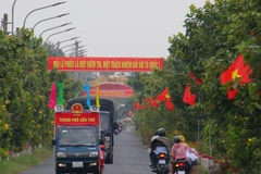 芹苴市永永乡广泛宣传选举工作。图自越通社