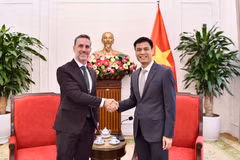 越南外交部副部长邓黄江会见联合国人口基金(UNFPA)驻越南首席代表马特·杰克逊 图自越通社
