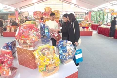 “新春创意手工艺及设计展”在河内应天乡广富桥线香旅游点开幕 图自越通社