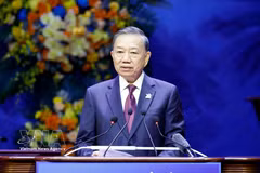 越共中央总书记、国家主席苏林